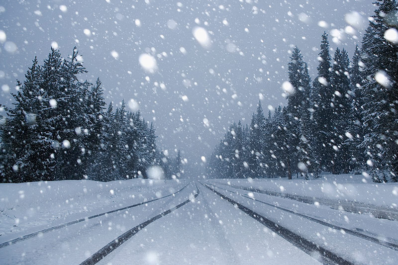 Here we go again! ❄️❄️❄️ Potential Snowstorm for Sunday to Monday Morning